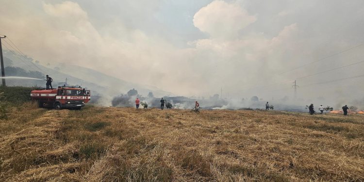 Niko Peleshi: Zjarri në Dropull dhe Finiq është vënë nën kontroll, nuk rrezikojnë më banesat