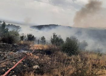 Zjarr në zonën mes Ksamilit dhe Butrintit