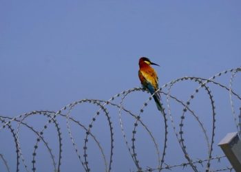 Përfundon rrethimi i Aeroportit të Vlorës