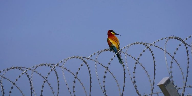 Përfundon rrethimi i Aeroportit të Vlorës