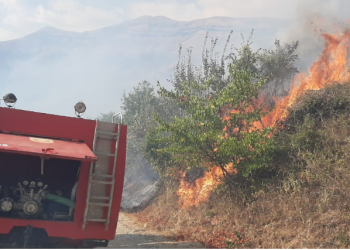 Gjirokastër, zjarr në Kardhiq