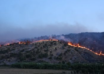 Riaktivizohet zjarri në Dropull