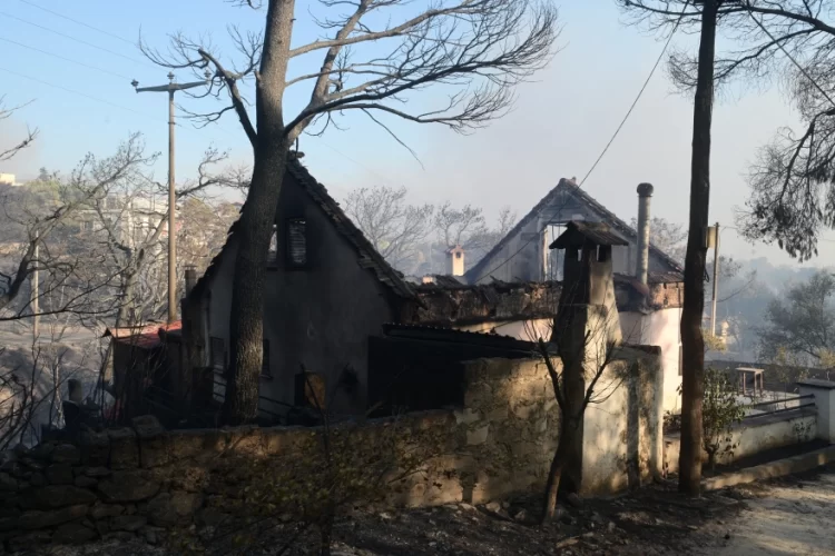 Athina në luftë me flakët, digjen disa shtëpi (FOTO)