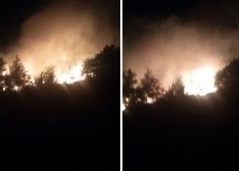 “Në rrezik 10 banesa”, zjarr te pylli i Sodës në Vlorë