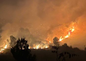 Zjarr i madh në Gjirokastër, flakët pranë fshatit Asim Zeneli dhe Arshi Lengo