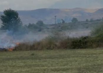 Zjarr në tokat bujqësore në Lazarat