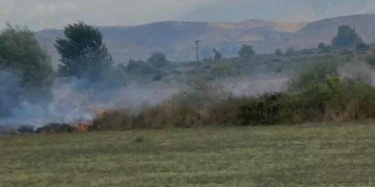 Zjarr në tokat bujqësore në Lazarat