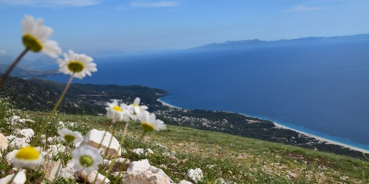 Bashkia e Himarës i jep 2 hektarë tokë projektit strategjik në një ‘mbledhje të jashtëzakonshme’