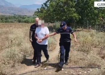 Mbolli kanabis në oborrin e shtëpisë, një i arrestuar në Gjirokastër