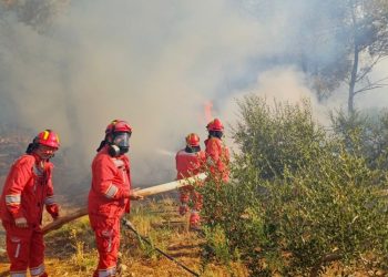 Zjarr i frikshëm në Mallakastër
