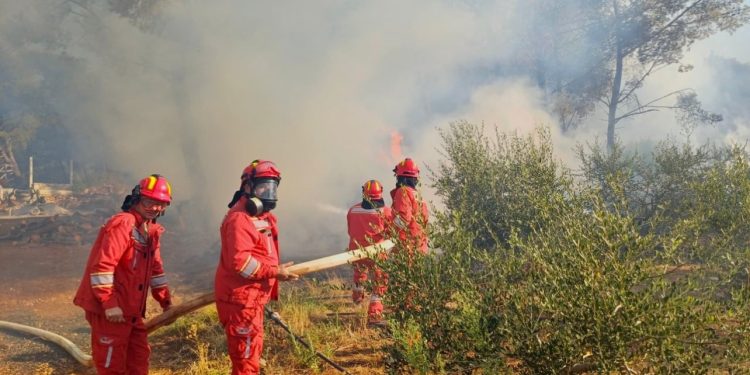 Zjarr i frikshëm në Mallakastër