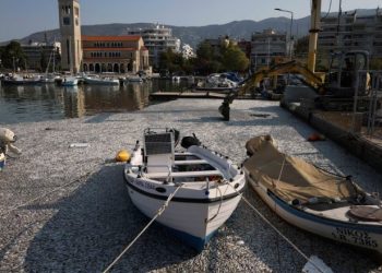 Miliona peshq të ngordhur alarmojnë qytetin grek, zbulohet shkaku