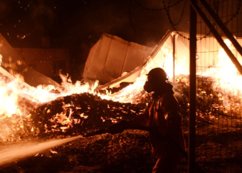 Athina në luftë me flakët, digjen disa shtëpi (FOTO)