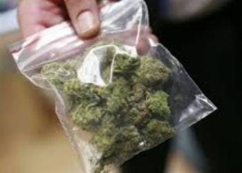 Kishin kanabis me vete, ndalohen dy të rinj në Gjirokastër