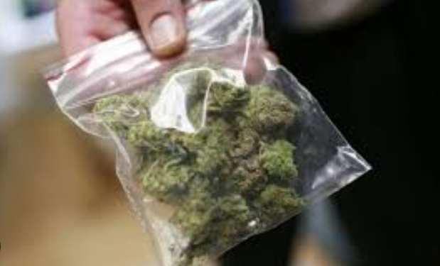 Kishin kanabis me vete, ndalohen dy të rinj në Gjirokastër