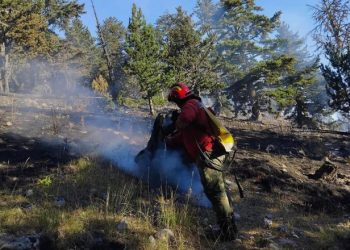 Reshjet e shiut shuajnë zjarret, vetëm 3 vatra ende aktive, por janë të izoluara