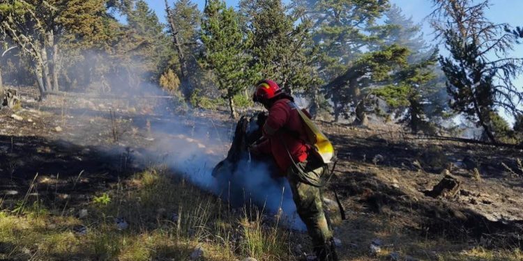 Reshjet e shiut shuajnë zjarret, vetëm 3 vatra ende aktive, por janë të izoluara