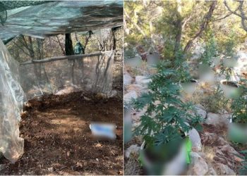 Operacion antidrogë në Greqi, kush janë shqiptarët e përfshirë (Emrat)