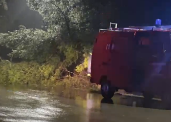 Përkeqësohet moti, rrëzohen pemë në Vlorë, bllokohet rruga