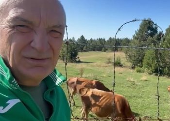 Ilir Meta: Rilindja përgjysmoi numrin e lopëve, ne do t’u japim fermerëve 200 Euro për kokë (VIDEO)