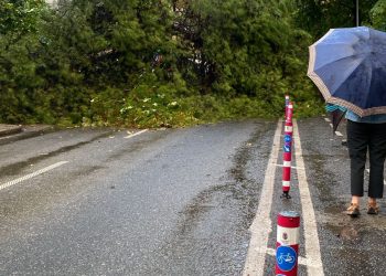 Reshjet e dendura/ Rrëzohet pema në Tiranë, bllokohet qarkullimi (VIDEO)