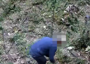 Po kujdesej për kanabisin, arrestohet 49-vjeçari në Përmet