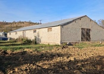 Zbulohet magazina me drogë, gratë paketonin, burrat e shisnin