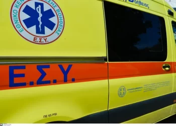 E rëndë në Greqi/ Shqiptari bie nga pema e dardhës, ndërron jetë