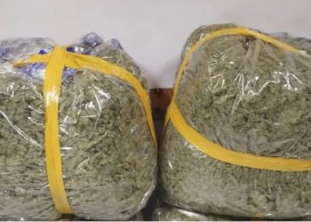 Kapen 50 kg kanabis në Greqi, dyshohet se ishin nisur nga Shqipëria