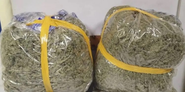 Kapen 50 kg kanabis në Greqi, dyshohet se ishin nisur nga Shqipëria