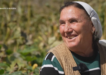 Braktisja e fshatit, gruaja kërkon nuse për djemtë: Nuk vijnë këtu vajzat… (VIDEO)