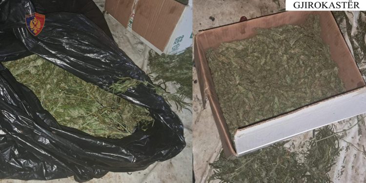I gjejnë kanabis në shtëpi, arrestohet 48-vjeçari në Memaliaj