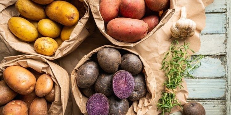 Patatja shqiptare nuk “kalon kufirin”!