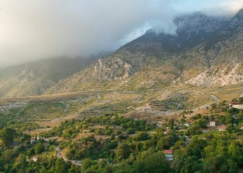 Rrahu hajdutin që hyri të vidhte shtëpinë e të vëllait, nën hetim një burrë nga Tepelena