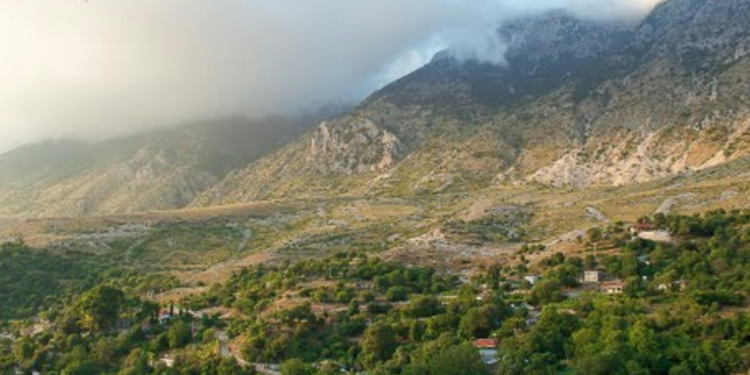 Rrahu hajdutin që hyri të vidhte shtëpinë e të vëllait, nën hetim një burrë nga Tepelena