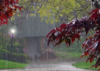 Moti bën kthesën e papritur të premten