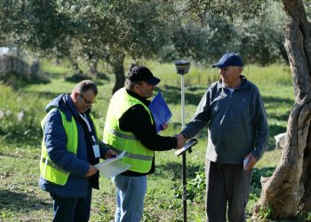 Certifikata e pronësisë për tokat në hyrje të Vlorës, punonjësit e Kadastrës në terren për verifikimin e parcelave