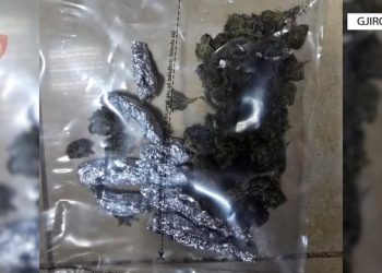 Me doza kanabisi gati për shitje, arrestohet i riu në Gjirokastër