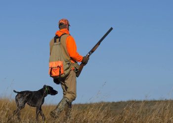 Vitin tjetër rikthehet gjuetia, por me rregulla të reja