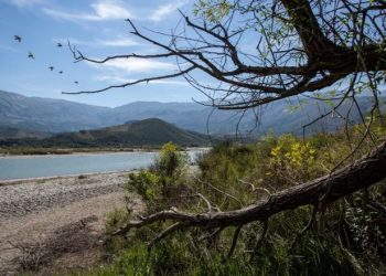 Kishte dalë për peshkim në Vjosë, zhduket 63-vjeçari