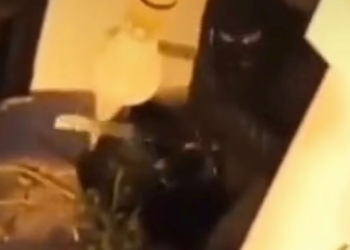 The Sun: Si gangsterët shqiptarë e përdorin TikTok-un për të goditur rivalët në trafikun e drogës