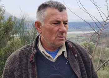 “Era e trupave ndihej që jashtë”, detaje tronditëse nga ngjarja në Mallakastër