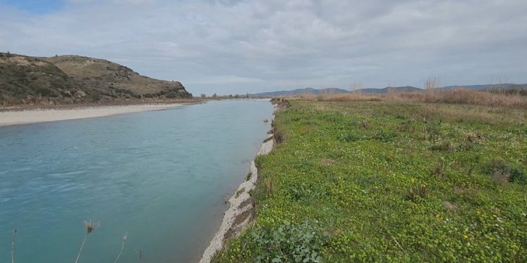 Vjosa e “egër” po ha toka bujqësore, banorët bëjnë thirrje për ndihmë