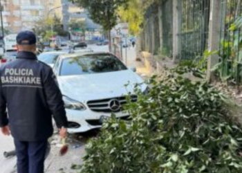 Aksident në Sarandë, shoferi përplaset me bordurën dhe pemën, më pas përfundon në burg (Emri)