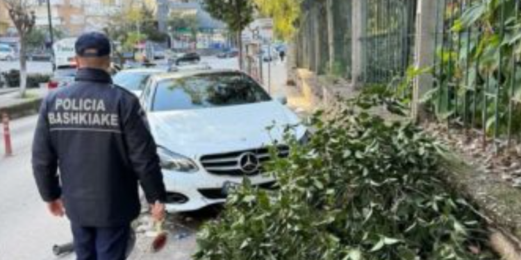 Aksident në Sarandë, shoferi përplaset me bordurën dhe pemën, më pas përfundon në burg (Emri)