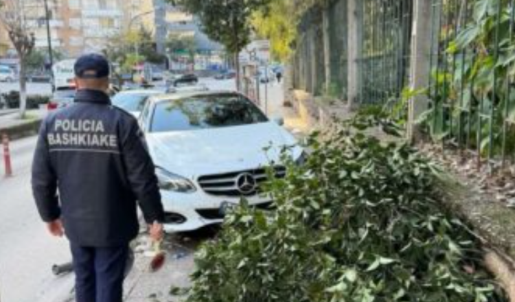 Aksident në Sarandë, shoferi përplaset me bordurën dhe pemën, më pas përfundon në burg (Emri)