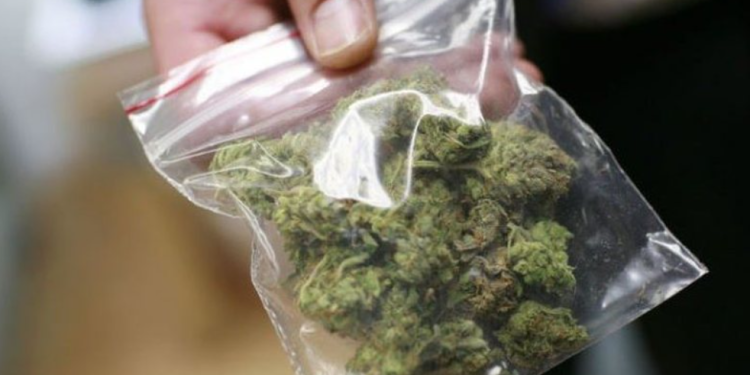 I gjejnë kanabis me vete, arrestohet 43-vjeçari nga Tepelena