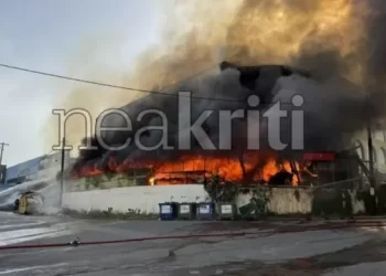 Zjarr i madh në Greqi, shkrumbohet nga flakët fabrika e drurit, qytetarët në alarm (VIDEO)