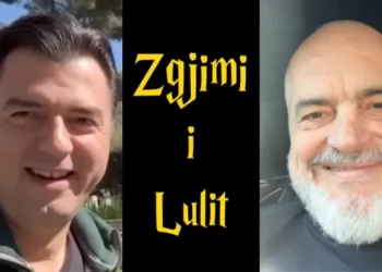 Rama tallet me Bashën: 100 zogj pulash kundër një luani. Ik tani artist, merru me bufin se po t’i kullufit demokratët (VIDEO)