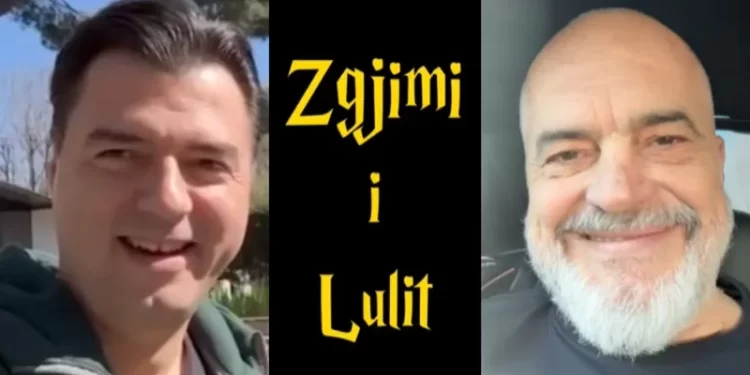 Rama tallet me Bashën: 100 zogj pulash kundër një luani. Ik tani artist, merru me bufin se po t’i kullufit demokratët (VIDEO)